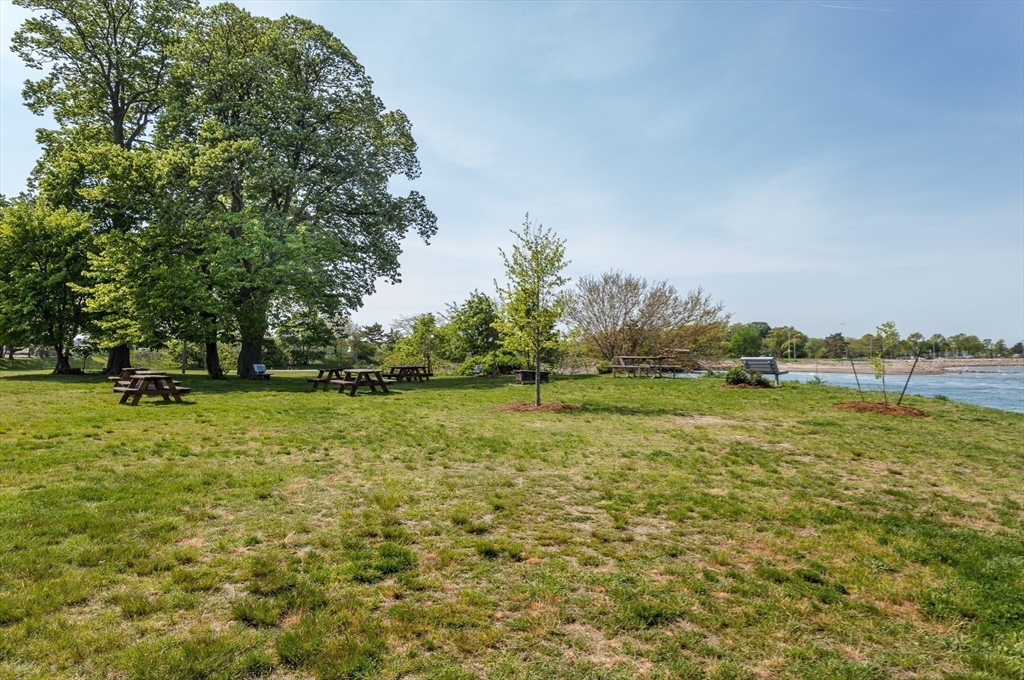 81 Assabet Road Quincy, MA 02169 - Photo 24 of 36