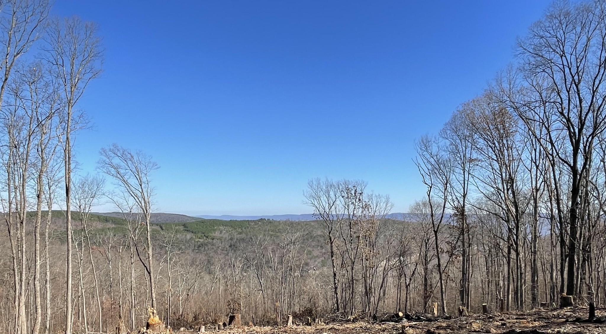 718 Wheeler Road Dunlap, TN 37327 - Photo 2 of 21 Gallery Image 2