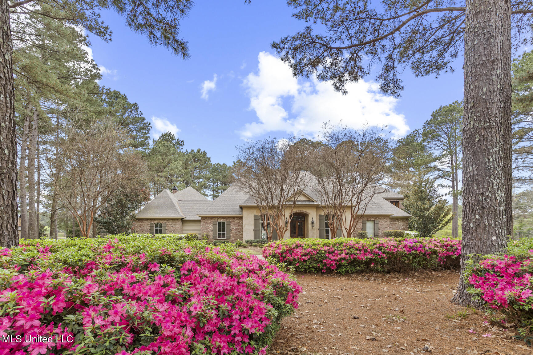 111 Johnstone Drive Madison, MS 39110 - Photo 1 of 59 111 Johnstone