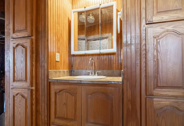 a view of a large body of water with lots of trees