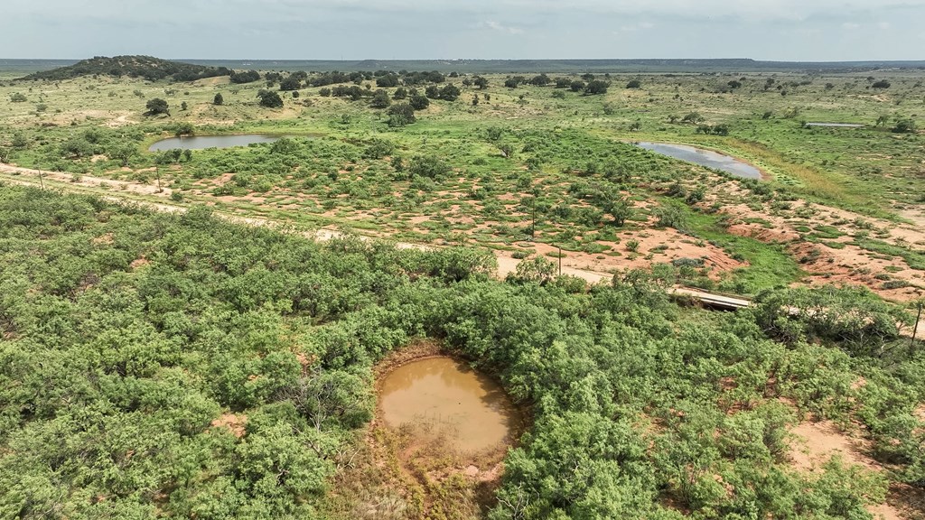 1596 Mule Creek Road Robert Lee, TX 76945 - Photo 42 of 98