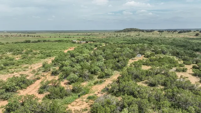 a view of a field with an ocean and trees
