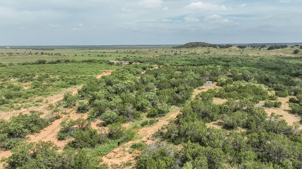 1596 Mule Creek Road Robert Lee, TX 76945 - Photo 43 of 98 an aerial view of houses covered in trees