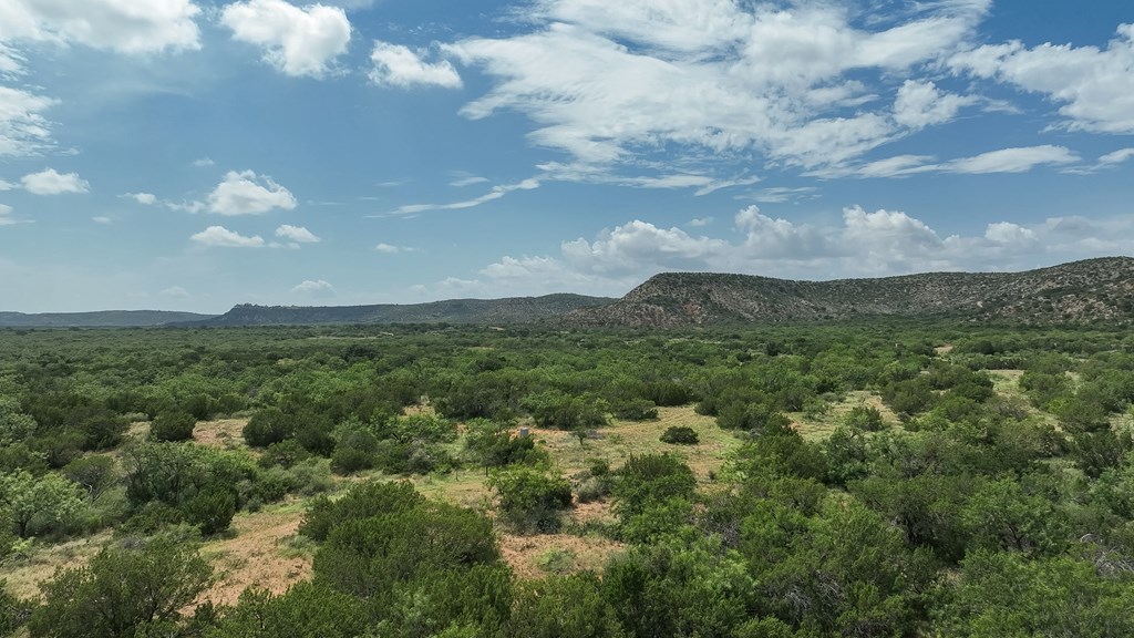 1596 Mule Creek Road Robert Lee, TX 76945 - Photo 47 of 98