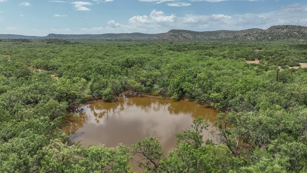 1596 Mule Creek Road Robert Lee, TX 76945 - Photo 48 of 98 a view of a lake with a mountain in the background