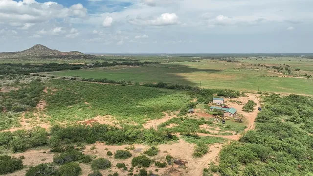 a view of a lake in middle of forest