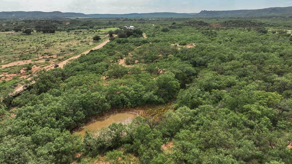 1596 Mule Creek Road Robert Lee, TX 76945 - Photo 53 of 98 a view of a forest with a lush green forest