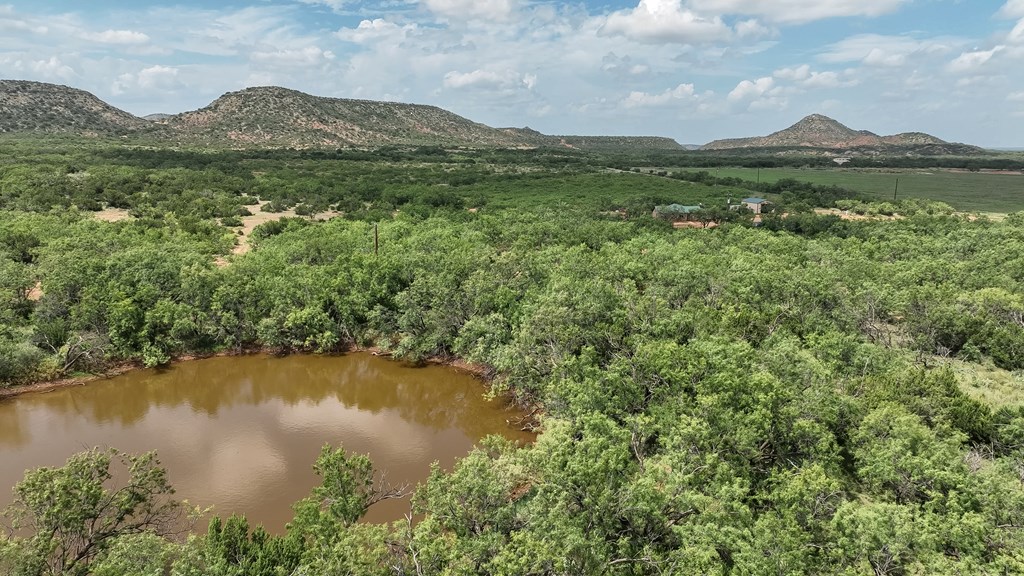 1596 Mule Creek Road Robert Lee, TX 76945 - Photo 54 of 98