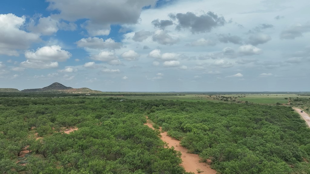 1596 Mule Creek Road Robert Lee, TX 76945 - Photo 56 of 98