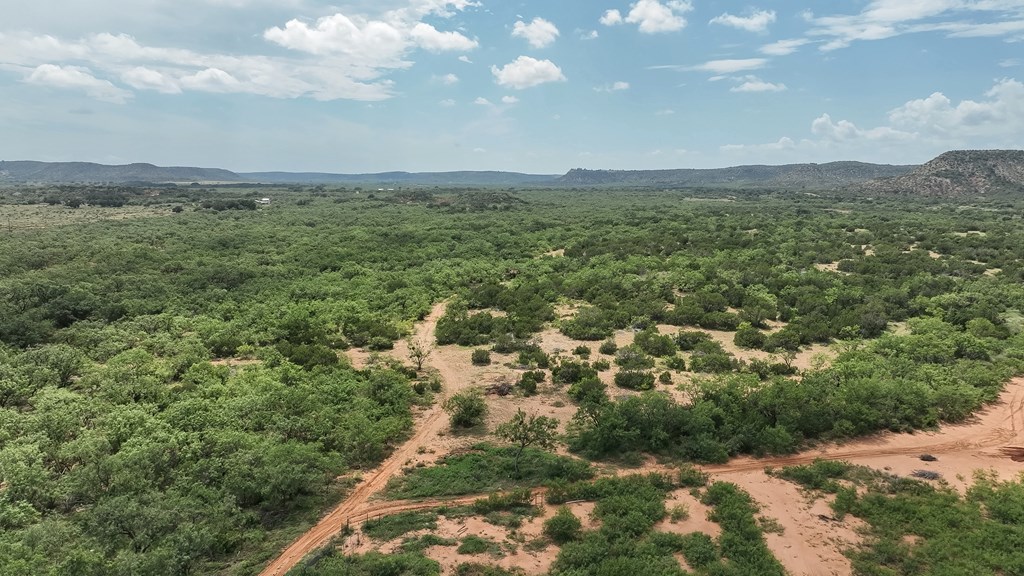 1596 Mule Creek Road Robert Lee, TX 76945 - Photo 57 of 98