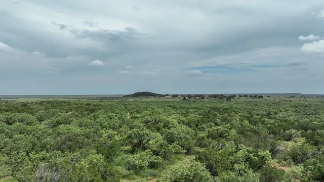 $650,000 | 1596 Mule Creek Road, Robert Lee, TX 76945