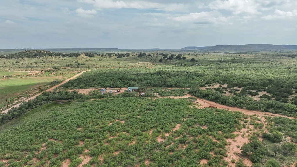 1596 Mule Creek Road Robert Lee, TX 76945 - Photo 61 of 98
