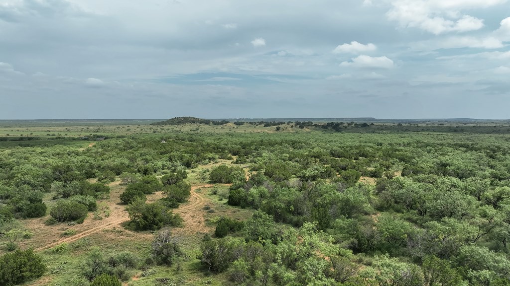 1596 Mule Creek Road Robert Lee, TX 76945 - Photo 63 of 98