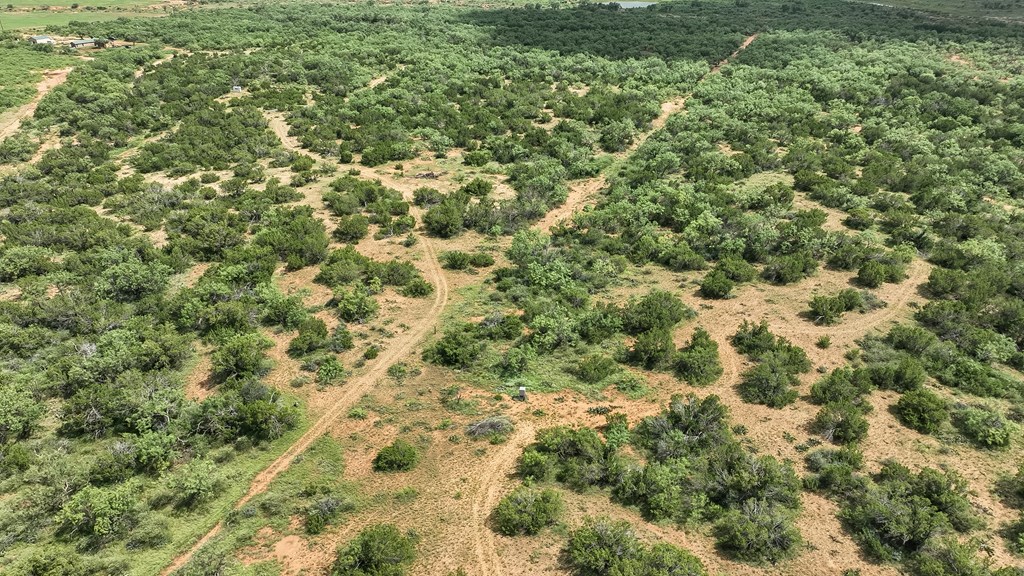 1596 Mule Creek Road Robert Lee, TX 76945 - Photo 65 of 98 a view of a big yard with lots of bushes