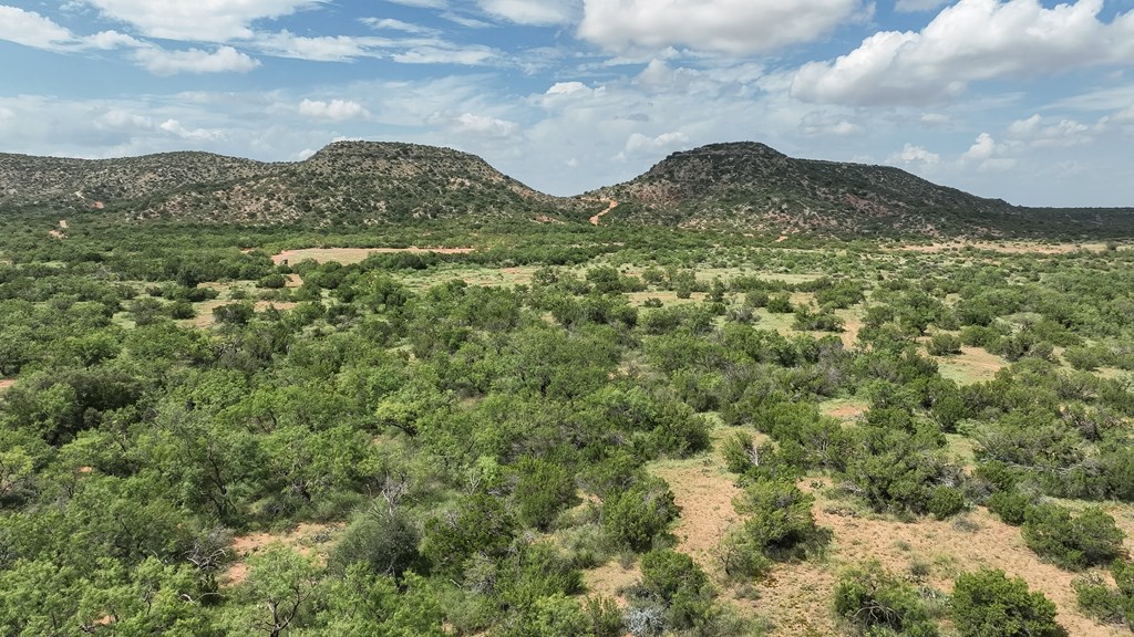 1596 Mule Creek Road Robert Lee, TX 76945 - Photo 66 of 98
