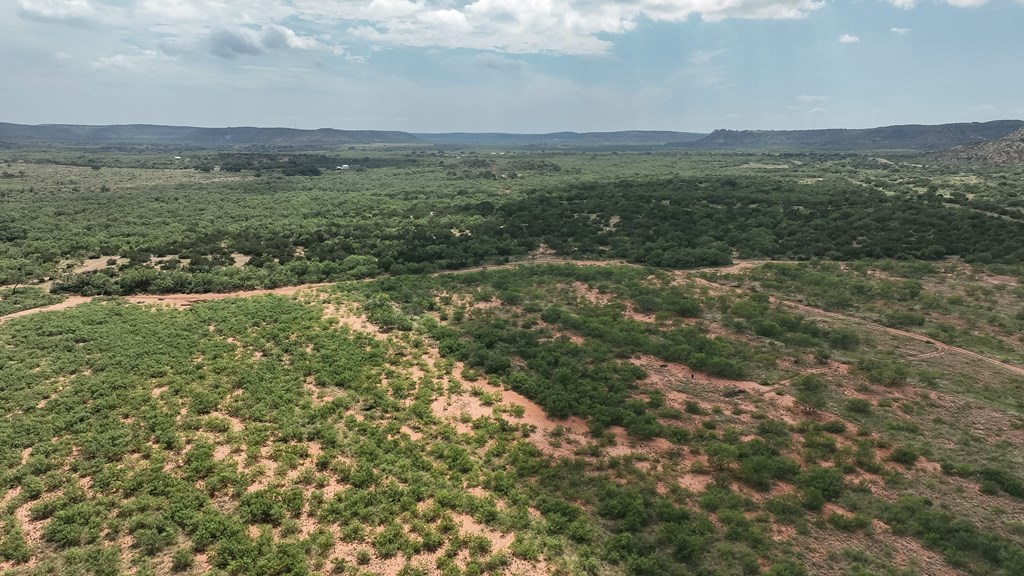 1596 Mule Creek Road Robert Lee, TX 76945 - Photo 67 of 98