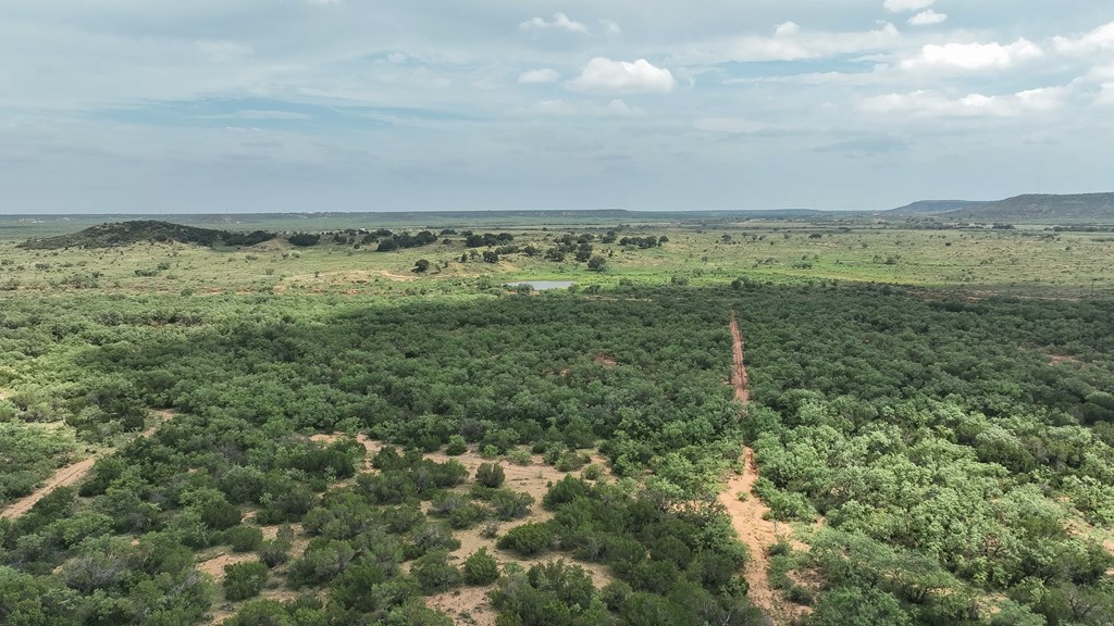 1596 Mule Creek Road Robert Lee, TX 76945 - Photo 68 of 98