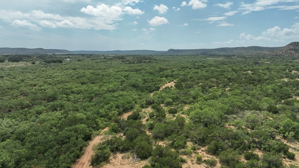 1596 Mule Creek Road Robert Lee, TX 76945 - Photo 69 of 98 a view of a green field with lots of trees