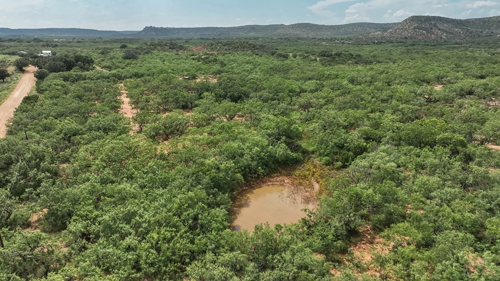 1596 Mule Creek Road Robert Lee, TX 76945 - Photo 70 of 98 a view of a lush green forest with trees and some houses
