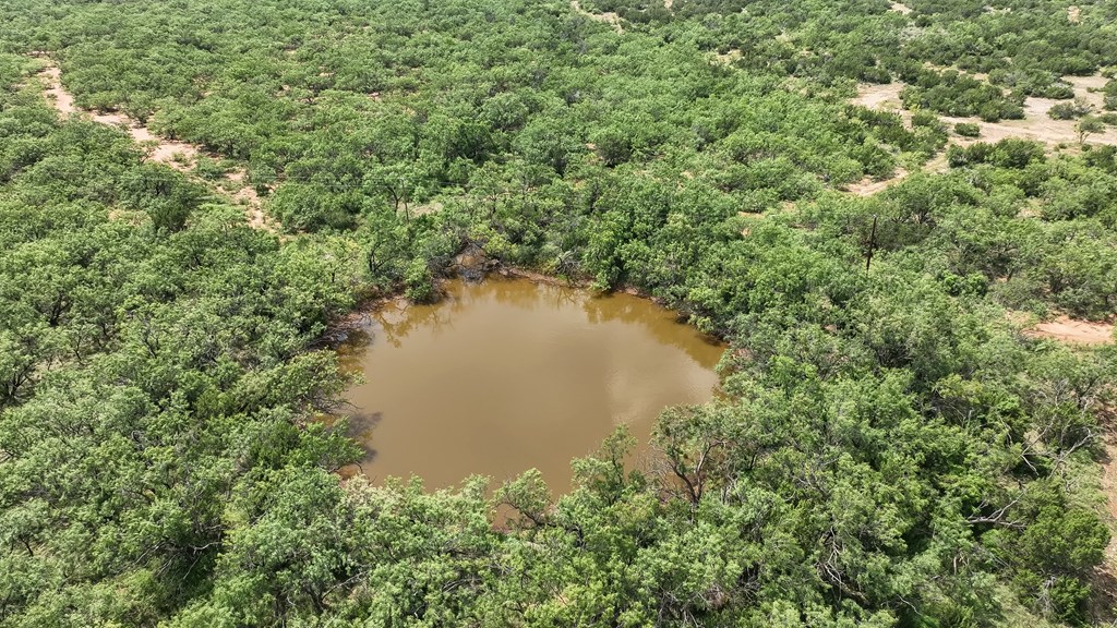 1596 Mule Creek Road Robert Lee, TX 76945 - Photo 71 of 98