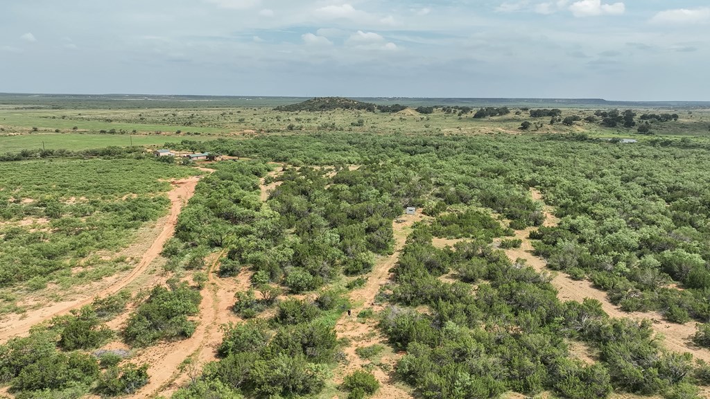 1596 Mule Creek Road Robert Lee, TX 76945 - Photo 75 of 98 a view of an ocean