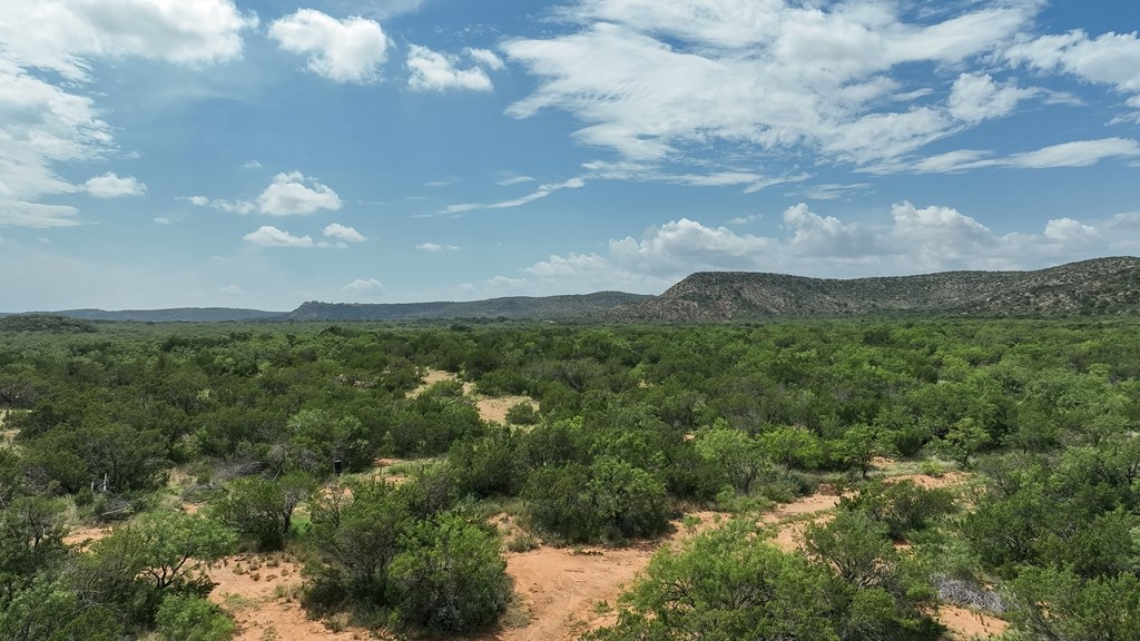 1596 Mule Creek Road Robert Lee, TX 76945 - Photo 76 of 98 a view of a city and mountains
