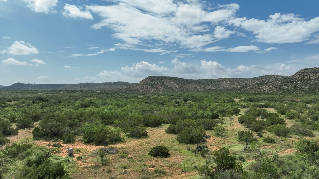 1596 Mule Creek Road Robert Lee, TX 76945 - Photo 81 of 98 a view of a lot of trees in all around