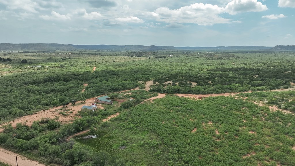 1596 Mule Creek Road Robert Lee, TX 76945 - Photo 82 of 98 a view of a field with an ocean and trees