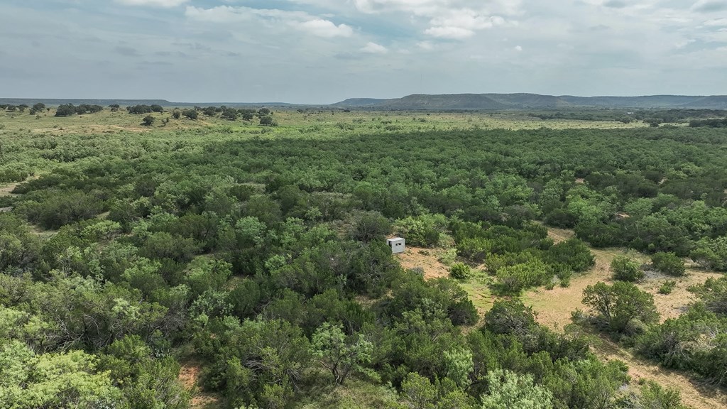 1596 Mule Creek Road Robert Lee, TX 76945 - Photo 83 of 98