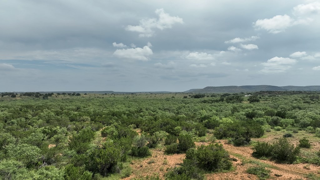 1596 Mule Creek Road Robert Lee, TX 76945 - Photo 85 of 98