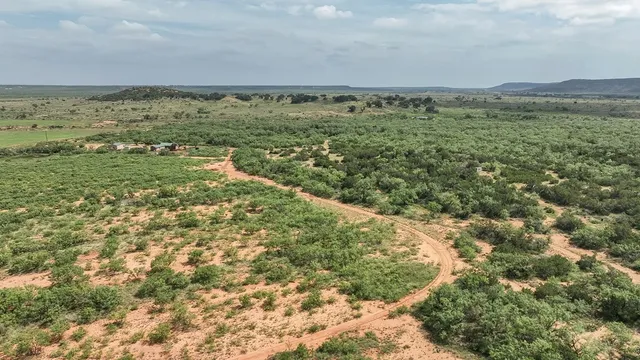 $650,000 | 1596 Mule Creek Road, Robert Lee, TX 76945