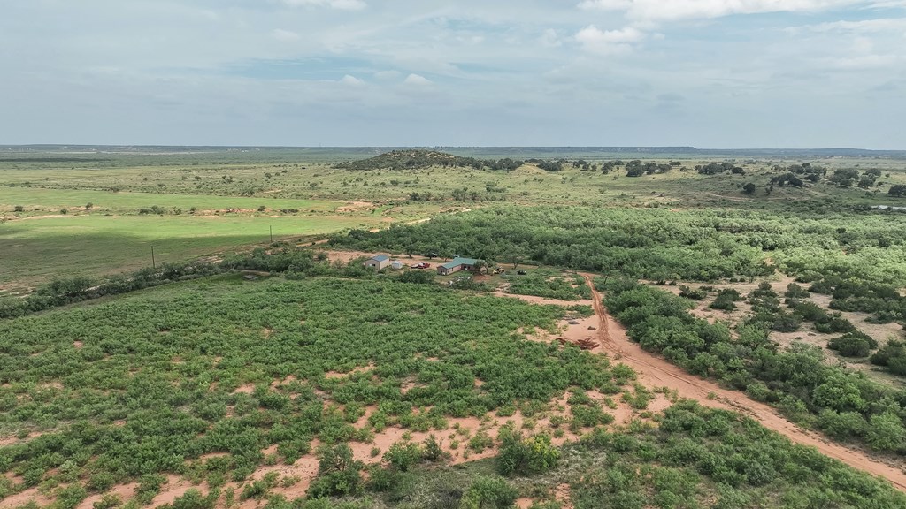 1596 Mule Creek Road Robert Lee, TX 76945 - Photo 89 of 98 a view of an ocean and beach