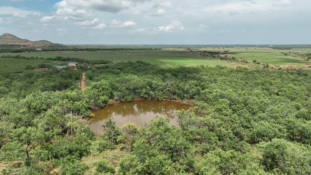 1596 Mule Creek Road Robert Lee, TX 76945 - Photo 91 of 98 a view of lake with green space
