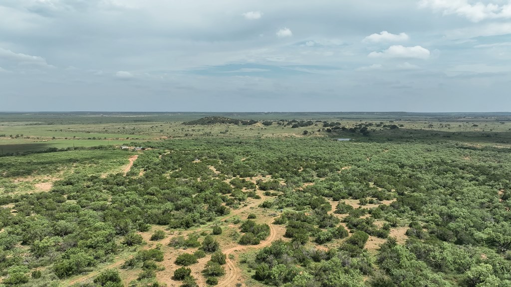 1596 Mule Creek Road Robert Lee, TX 76945 - Photo 94 of 98