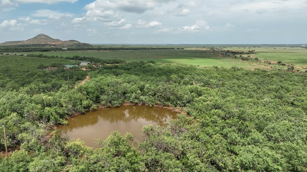 1596 Mule Creek Road Robert Lee, TX 76945 - Photo 96 of 98 a view of a lake in middle of forest