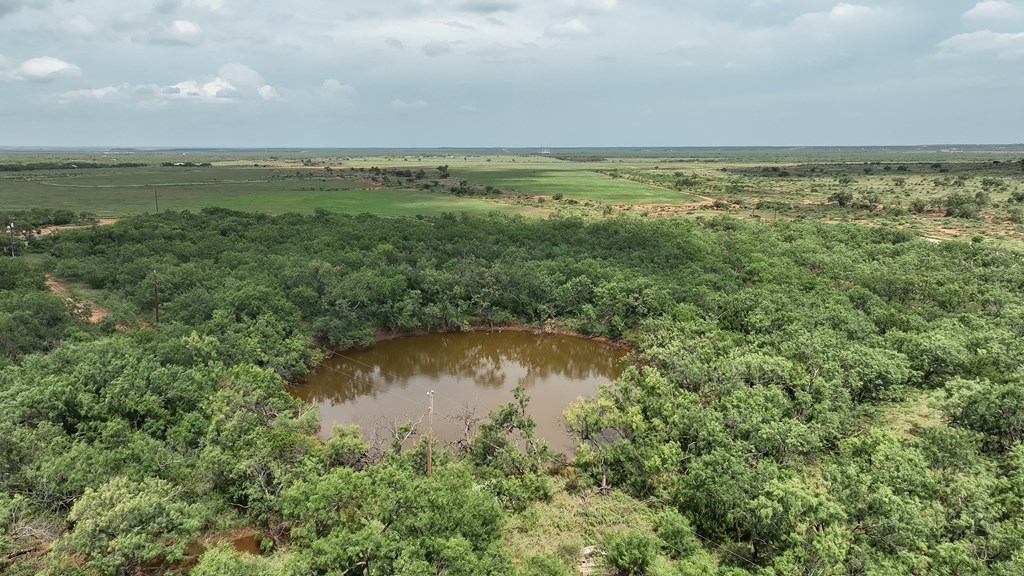 1596 Mule Creek Road Robert Lee, TX 76945 - Photo 97 of 98