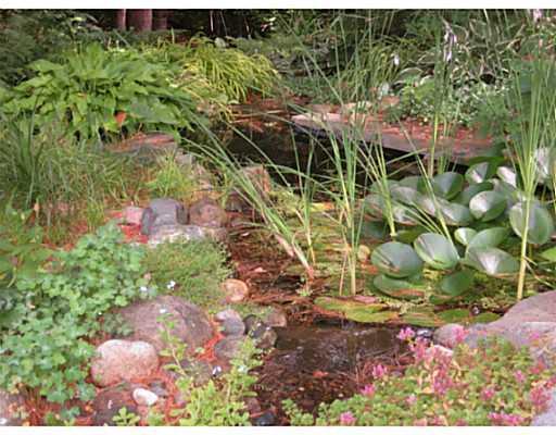 119 Monkey Brook Road Newry, ME 04261 - Photo 8 of 12 Land. Bog Garden