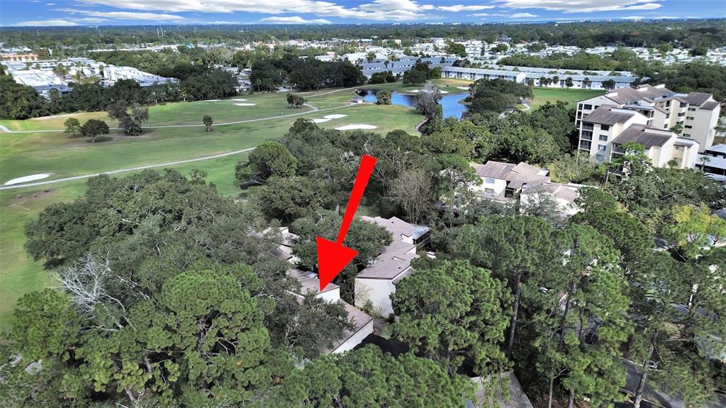 700 Starkey Road, Unit 511 Largo, FL 33771 - Photo 25 of 27 an aerial view of a houses with a yard and lake view