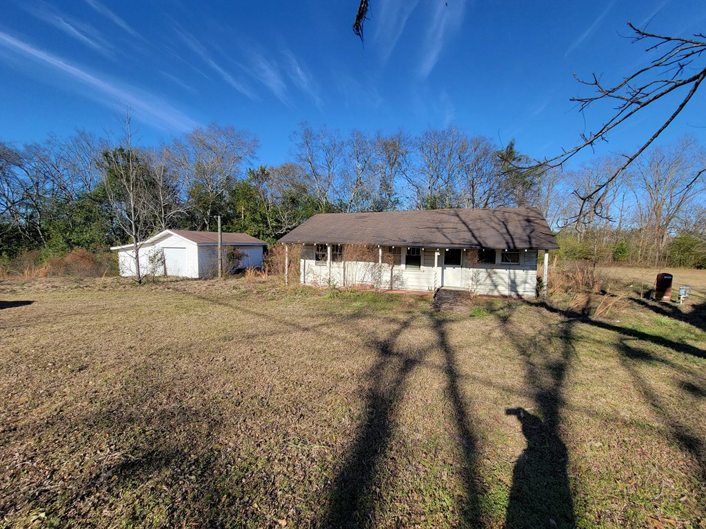 49-acres Pansey Road Ashford, AL 36312 - Photo 11 of 16
