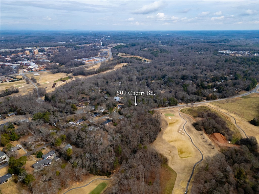 609 Cherry Road Clemson, SC 29631 - Photo 19 of 30