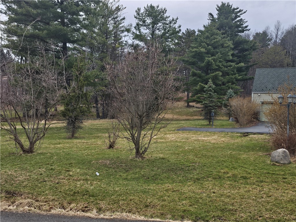 344 Hillcrest Road Big Flats, NY 14903 - Photo 3 of 45