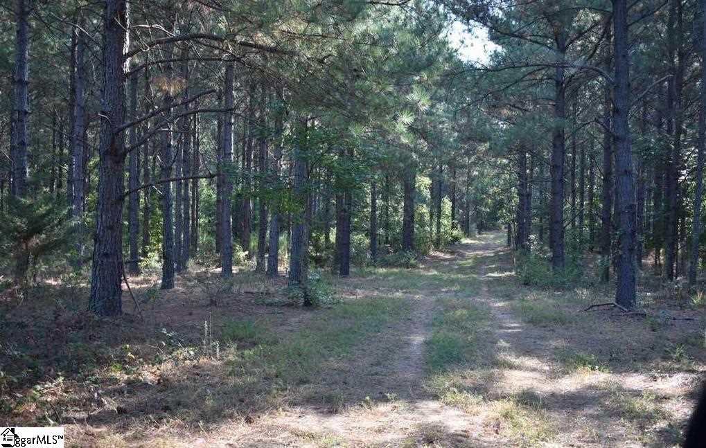 D1600 Metric Road, Unit TRACT 10 Laurens, SC 29360 - Photo 2 of 35 Gallery Image 2