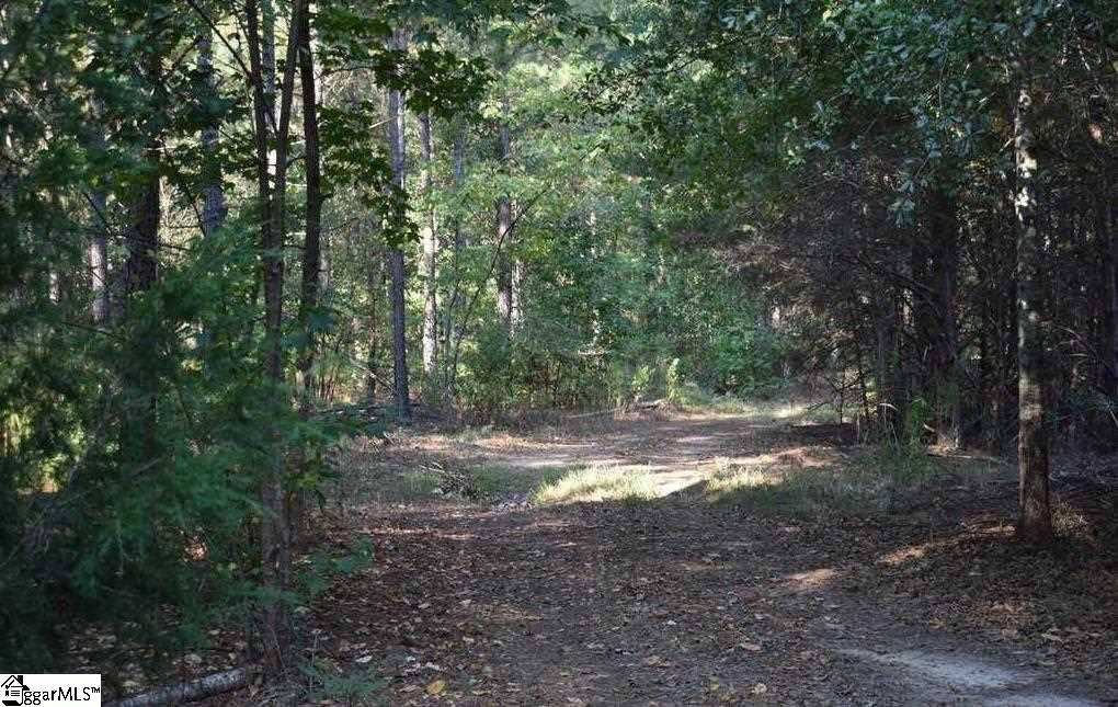 D1600 Metric Road, Unit TRACT 10 Laurens, SC 29360 - Photo 11 of 35 Gallery Image 11