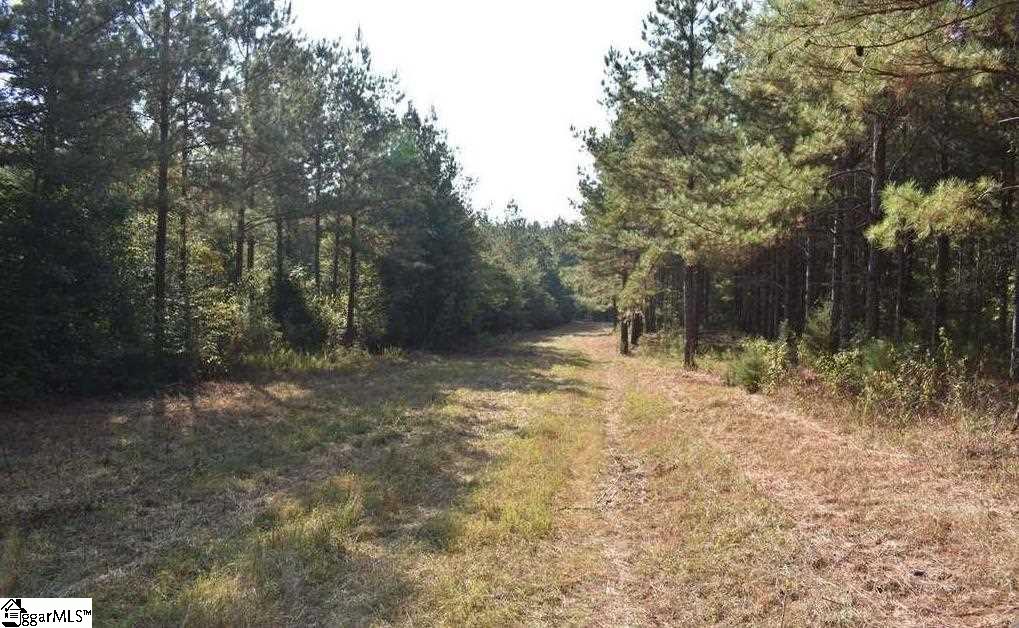 D1600 Metric Road, Unit TRACT 10 Laurens, SC 29360 - Photo 14 of 35 Gallery Image 14