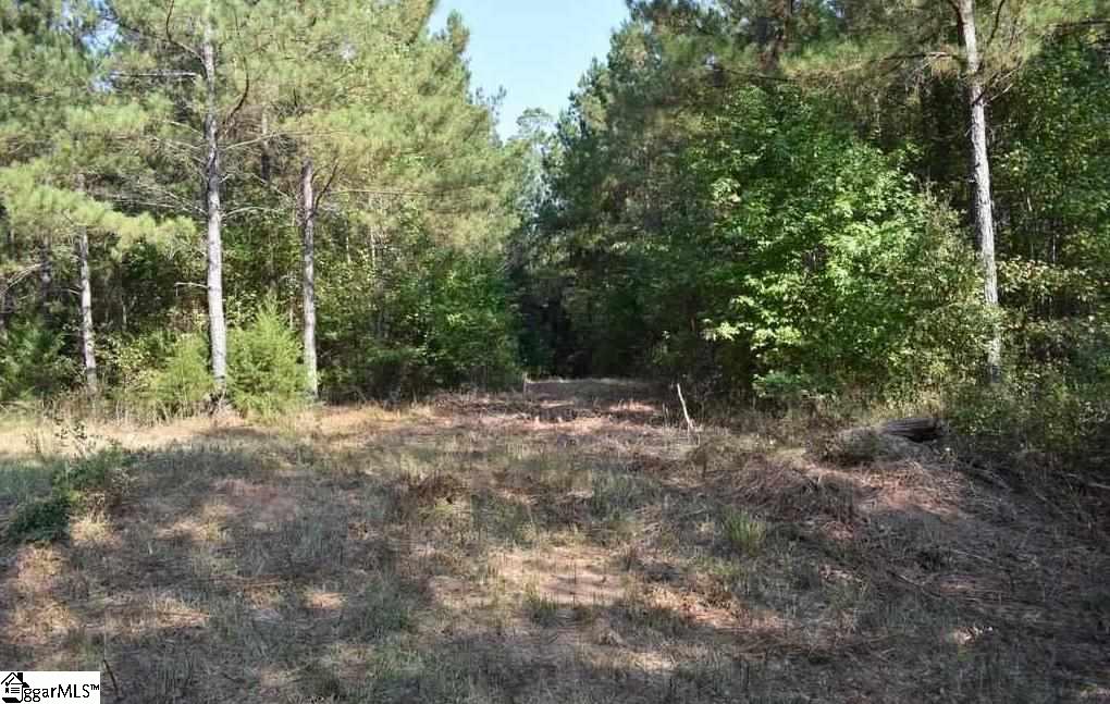 D1600 Metric Road, Unit TRACT 10 Laurens, SC 29360 - Photo 15 of 35 Gallery Image 15
