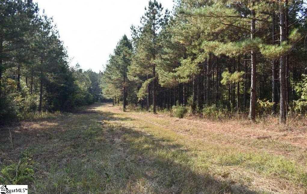 D1600 Metric Road, Unit TRACT 10 Laurens, SC 29360 - Photo 16 of 35 Gallery Image 16