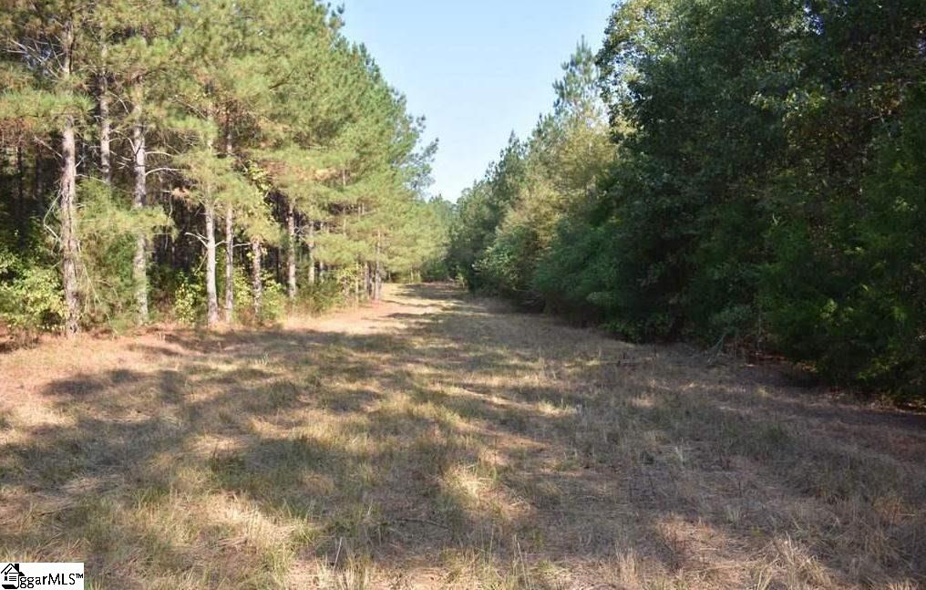 D1600 Metric Road, Unit TRACT 10 Laurens, SC 29360 - Photo 17 of 35 Gallery Image 17