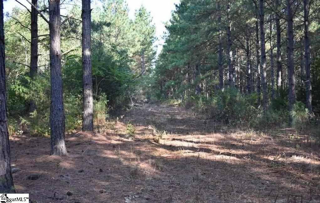D1600 Metric Road, Unit TRACT 10 Laurens, SC 29360 - Photo 3 of 35 Gallery Image 3