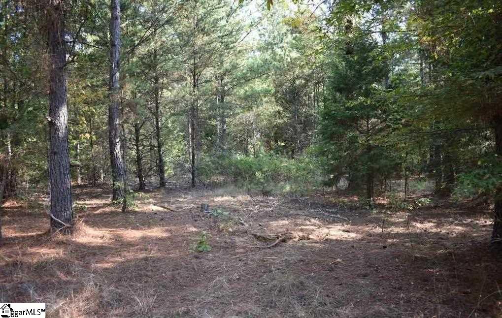 D1600 Metric Road, Unit TRACT 10 Laurens, SC 29360 - Photo 23 of 35 Gallery Image 23