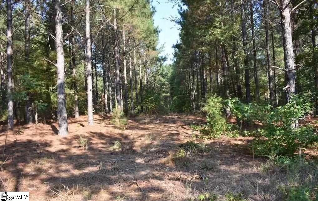 D1600 Metric Road, Unit TRACT 10 Laurens, SC 29360 - Photo 24 of 35 Gallery Image 24